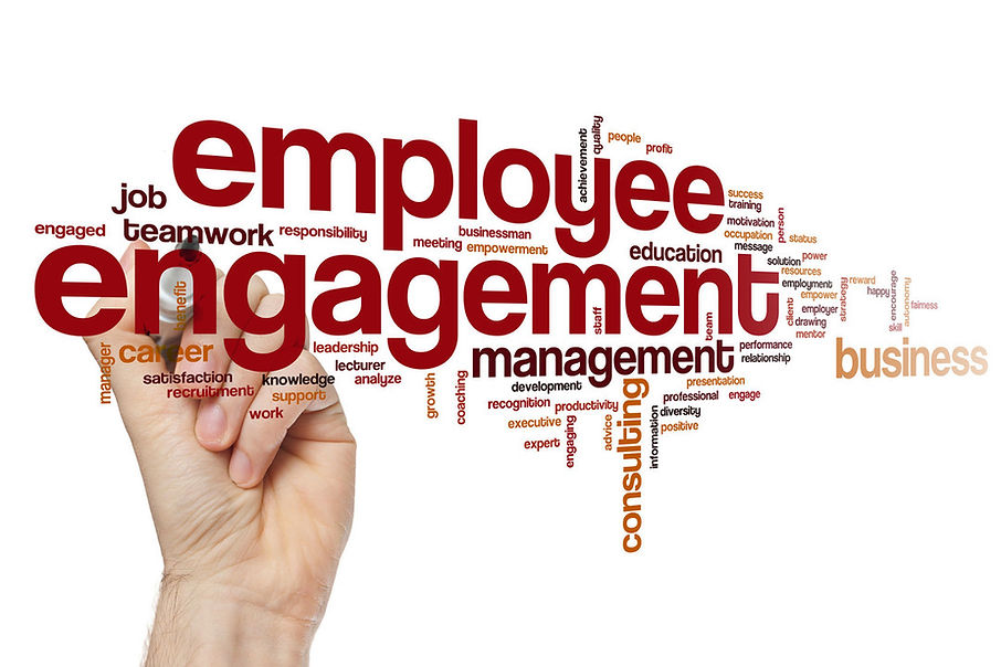 Employee Engagement: Theories, Models, and Real-Life Transformations, with Surprising Catalysts